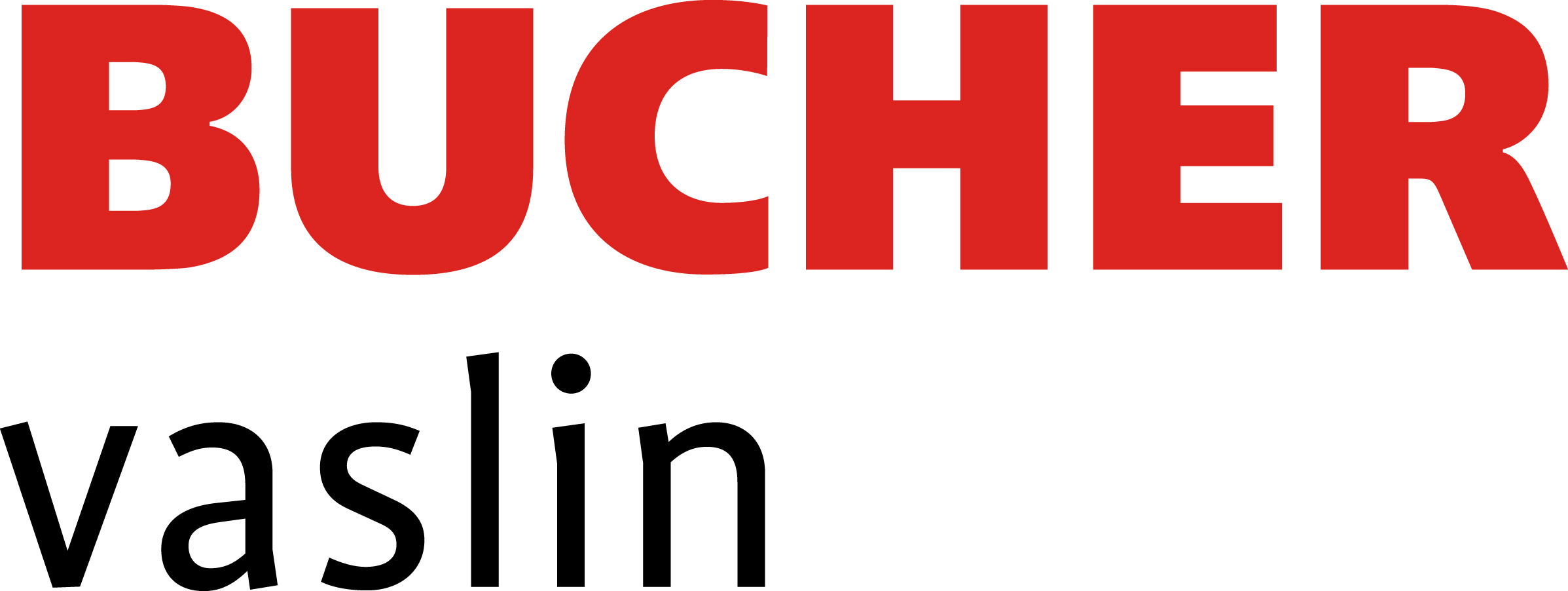 Bucher Vaslin logo Bucher Vaslin logo